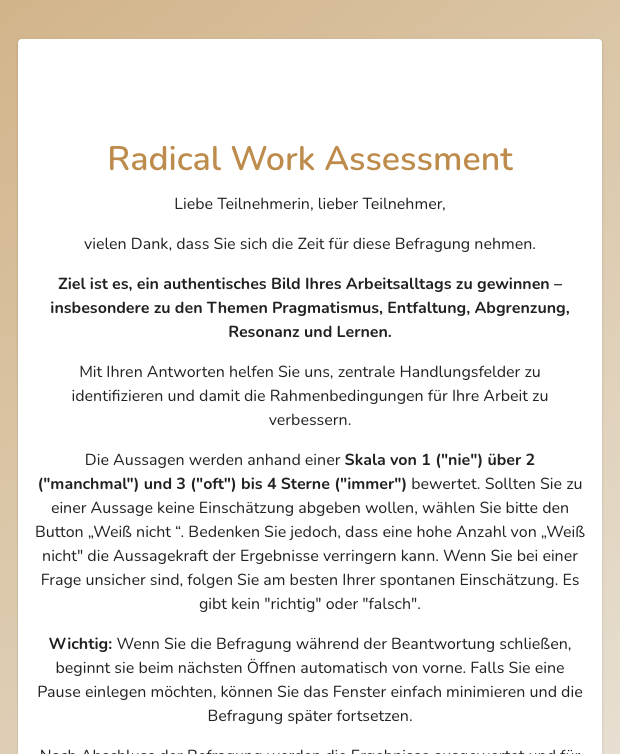 Screenshot Radical Work Assessment