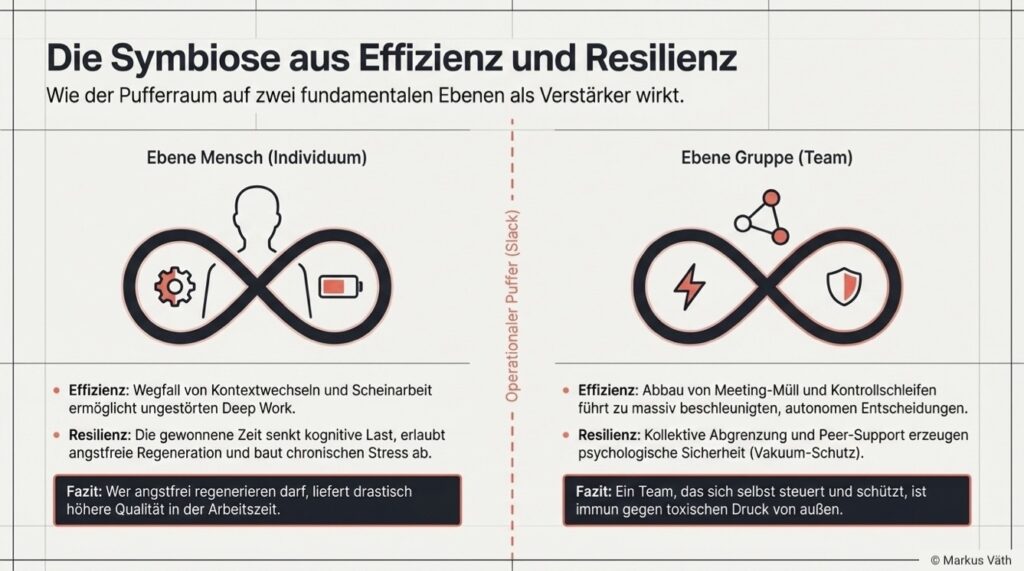 Graphic Double contingency efficiency - resilience